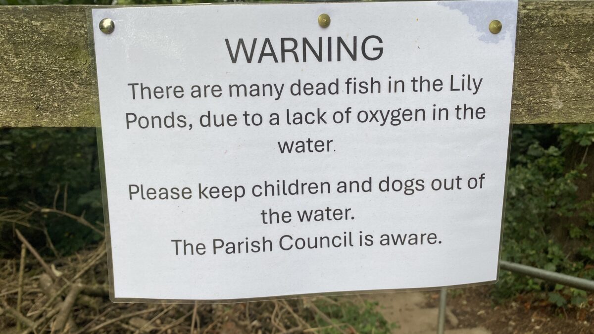 Dead Fish Notice at Radcliffe on Trent Lily Ponds