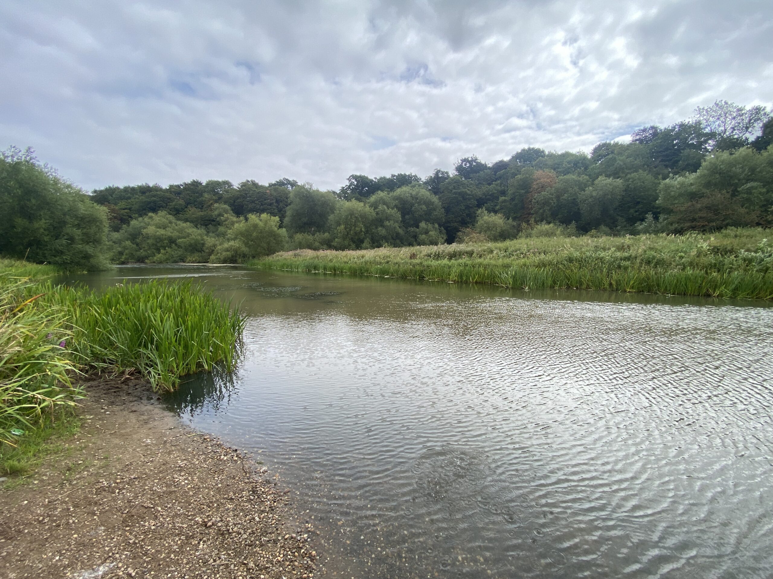 Radcliffe on Trent Lily Ponds in August 2025